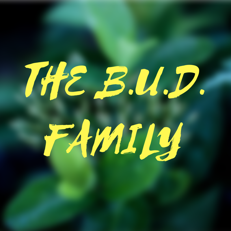 Welcome to the BUD Family Blog!