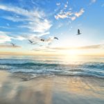 KNOCKING ON HEAVEN’S DOOR FOR HEAVENLY REWARD, HELP AND PEACE| THE BUD FAMILY| JUICY JULY