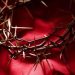 DRENCHED IN THE BLOOD OF JESUS