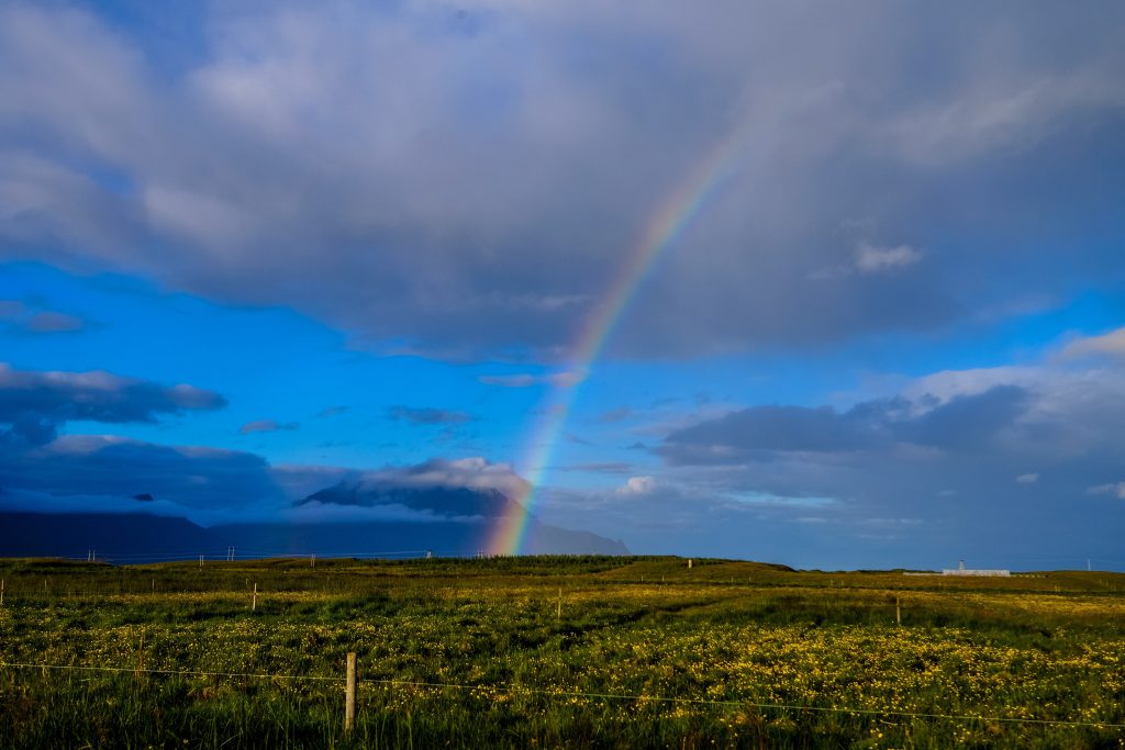 SWIMMING IN GOD’S PROMISES
