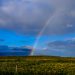 SWIMMING IN GOD’S PROMISES