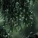 SOUND OF ABUNDANCE OF RAIN