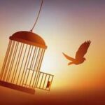 FREEDOM FROM BESETTING SINS AND NEGATIVE HABITS.