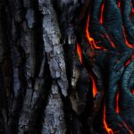 DESTROYING EVIL FAMILY PATTERNS