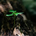 BUILDING MY FAITH THROUGH THE WORD AND PRAYER