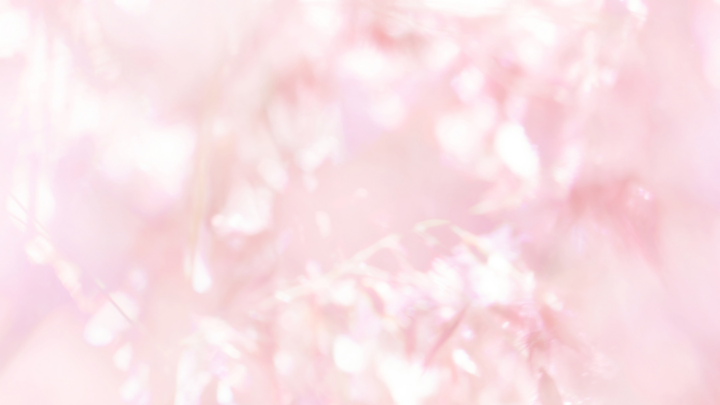 Image for Aesthetic Christian Wallpaper (Discipleship) 3